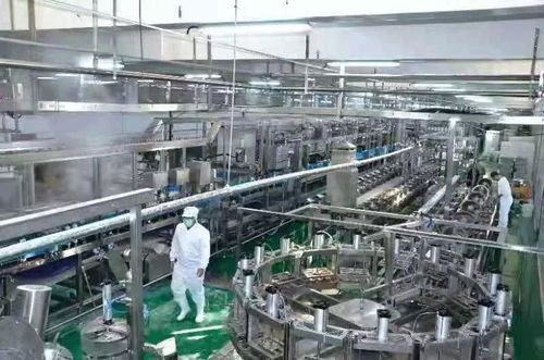 河南南街村豆腐生產線試運行 傳統產業煥新顏，新年運動經營雙輪驅動